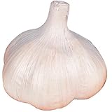 国華園　ニンニク種球　ホワイトニンニク(種球)(中国産)　500g【※発送が国華園からの場合のみ正規品です】