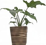 木製４寸セローム