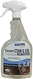Shaw R2X Carpet Stain & Soil Remover 32 Ounces Spray [並行輸入品]