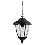 Sea Gull Lighting 6006812 1-Light Outdoor Pendant by Sea Gull Lighting