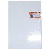 アクリサンデー 発泡スチレンボード B4サイズ 275mm×400mm 板厚 3mm 白 (紙貼タイプ) HS-K100 カミ275X400X3