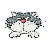 ディズニークラシックス/サガラワッペン大 シンデレラ ルシファー D01Y3296