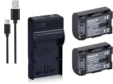 NinoLite 4点セット BN-VG107 / BN-VG108 互換 バッテリー2個 +USB型 充電器 +海外用交換プラグ 、日本 ビクター JVC 対応 dc96bnvg107x2