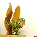 MANJA WOO-0278-E リゾートオブジェ チーク 原木 根っこオブジェ フラワーベース 1点もの (E) 【 アジアン家具 フラワーデコレーション ディスプレイ エスニック アジアンテイスト