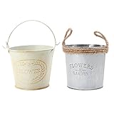 Fenteer 植物ホルダー　バケツ　フラワーポット　金メッキ　レトロ　プランター　ロープ付き　吊り下げ　2個セット　