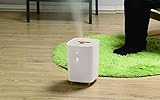エレス L’s Humidifier mini エルズヒュミディファイアーミニ ハイブリッド式...