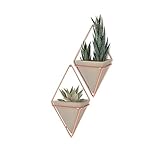 umbra 壁面収納 TRIGG WALL VESSEL(トリッグ ウォールオーガナイザー) S(2SET) コパー/コンクリート