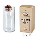 水栽培用ポット：ガラスポットロング（容器のみ）[水栽培にも花瓶にもなる便利な容器！]