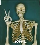 進化論～GOOD MORNING!-HELLO!21st CENTURY～