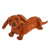 ミニチュアダックスフンド No.4002