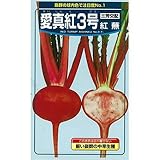 カブ 種 愛真紅３号蕪 コート５千粒