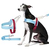 VETRESKA 犬用ハーネス＆リードセット 小型・中型犬用の簡単散歩 引っ張り防止の子犬用ハーネス首輪 散歩＆トレーニング用 調節可能 コントロールしやすい 絡まり防止のリード付き（ミスト＆マルロー、S）