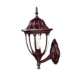 Acclaim 5062BW Suffolk Collection 1-Light Wall Mount Outdoor Fixture, Burled Walnut [並行輸入品]