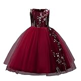 女の子のプリンセスドレス, レースの女の子の王女の花嫁介添人会見のTutu Tulleのガウンパーティーのウェディングドレス by TODOYI (120, DB) (120, WE)