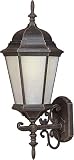 Forte Lighting 17014-01-28 Exterior Wall Light with Frosted Seeded Glass Shades, Painted Rust [並行輸入品