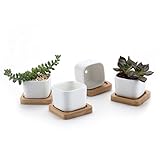 T4U 5.3CM 陶器鉢 白 ミニ スクエア 植木鉢 多肉植物 サボテン鉢 竹トレイ付き 4個入り