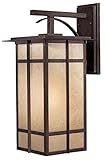 Minka Outdoor 71193-357-PL, Delancy Outdoor Wall Sconce Lighting, 13 Watts Fluorescent, Iron [並行輸入品]