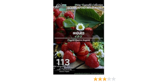 Amazon Co Jp 西洋野菜 種 四季成りイチゴ Diy 工具 ガーデン