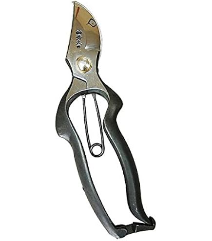 外山刃物 宗家秀久 剪定鋏 T-19 未使用 Amazon | 宗家秀久 万能剪定鋏 T-19 | 園芸用はさみ