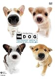 THE DOG �x�X�g�E�Z���N�V���� ��������`�[�� �`�`�����A�E�F���V���E�R�[�M�[�A�p�s�����A�ā`