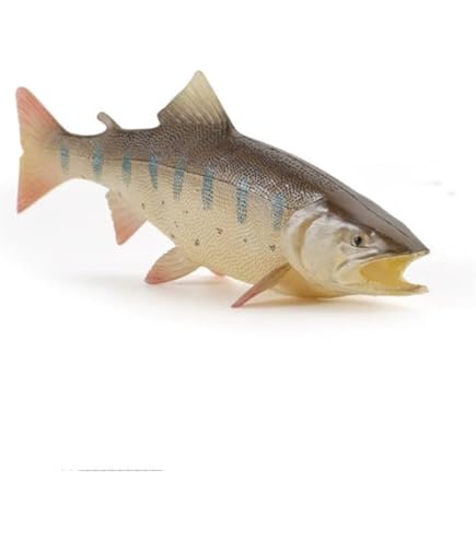 Amazon.co.jp: [猫神山] 岩魚 イワナ 川のサカナ 渓流 魚 フィギュア