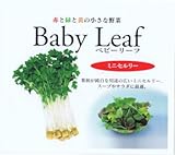 【種子】ベビーリーフ・ミニセルリー 1L