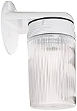 RAB Lighting VBR100PW Vaporproof Incandescent Fixtures with White Perma Globe and Wall Mount Bracket
