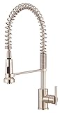 Danze D455058SS Parma Pre-Rinse Single Handle Spring Spout Kitchen Faucet, Stainless Steel, Stainles