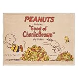 nishikawa【西川】 スヌーピー ひざ掛け 100X70cm 洗える 毛布 ブランケット あたたか 軽量 ベージュ FQ75185607 PN5654BD