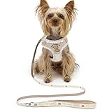 ペットパラダイス 犬 ハーネス リード ミニオン 超小型犬 小型犬 ティム チェック柄 【３Ｓ】 998-55428