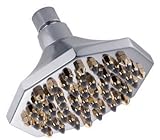 6" Octagon Shower Head Finish: Chrome with Polished Brass [並行輸入品]
