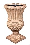 BirdRock Garden Pineapple Urn - Aged Ivory | Indoor Outdoor Planter Urn [並行輸入品]