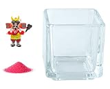花市場直送便 ミニチュアガラス 武田信玄 & カラーサンド ニューピンク & 植え込み用グラス ニューブロックS