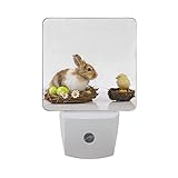 naanleのセット2 Easter Rabbit Chicken EggホワイトDaisy Flower In Bird NestホワイトオートセンサーLED Dusk to Dawnナイトライトプ