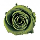 ~Coco Heart~ 　1輪で買える　プリザローズ・ルミエール オリーブグリーン 花直径約４ｃｍ　(ハンドメイド アレンジ　クリスマス　母の日　プリザブドフラワー・ローズ）