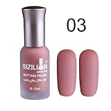 anshinto 12 mlマットDull Nail Polish Fast DRY Long Lastingネイルアートマットネイルポリッシュジェル20色 One Size ブラック