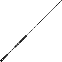 41Rg4jbwxAL._AC_UL210_SR210,