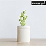 inteeonホームシリーズ1 Pieceジュエリーボックストレイストレージケースwithカバーオーガナイザーデスクアクセサリー 201336100-173