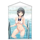 KADOKAWA 電撃萌王 珈琲貴族描き下ろし 青山さん三角白ビキニタペストリー【B2】 約縦72.8×横51.5cm Wスエード製
