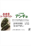 フタバ種苗 【一代交配】 トウガラシ アンチョ 種・小袋詰(0.3ml)