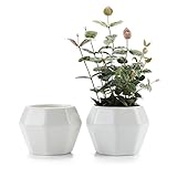 T4U 9.5CM 陶器鉢 白 八角形 多肉植物 サボテン鉢 フラワーポット プランター容器 2個入り