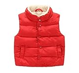 赤ちゃん男の子女の子暖かいフリースベスト高ネックアウターベストジャケット カラー: レッド