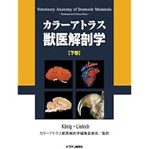 41RlzLlrWWL._AC_UL210_SR210,