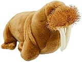 ナショナルジオグラフィック ぬいぐるみ セイウチ 28cm 770726