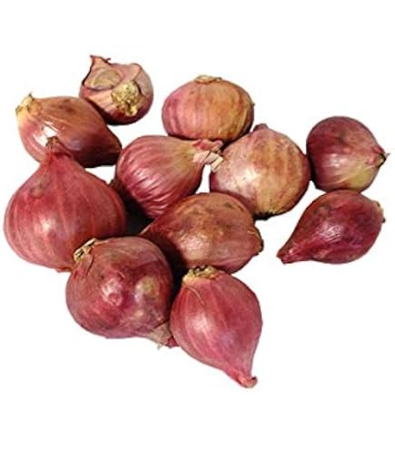 Amazon.co.jp: フランスの野菜通年 エシャロットフランス産約1Kg