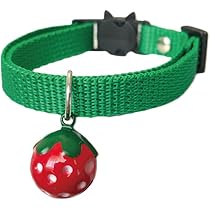 41RncHxpMBL._AC_UL210_SR210,