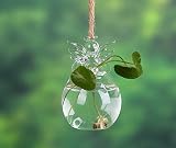 美しいエンジェルのガラスの形透明な水耕花のポット植物執行オフィスのホームウェディングデコレーション (7.5*12cm)