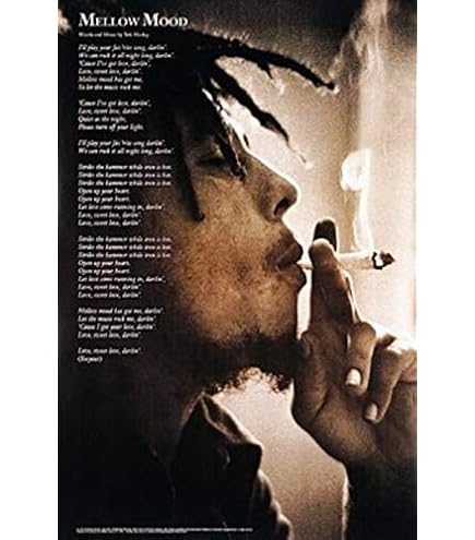 Amazon.co.jp: (モザイク)BOB MARLEY ポスター : ホーム＆キッチン
