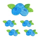 ワッペン アイロン 刺繍 フルーツ ブルーベリー アップリケ 小さめ 5枚セット カラフル 果物 おしゃれ かわいい 入園 入学準備 NYANDELMO ND-0196-R02-blueberry