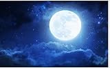 The Moon in the Night Sky天井壁3d壁紙3dウォールペーパーテレビのバックドロップ天井ホーム装飾 3Ds473129